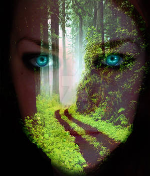 The Forest Becomes Me