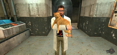 Freeman Cat Freeman only on Freeman-Fanatics - DeviantArt