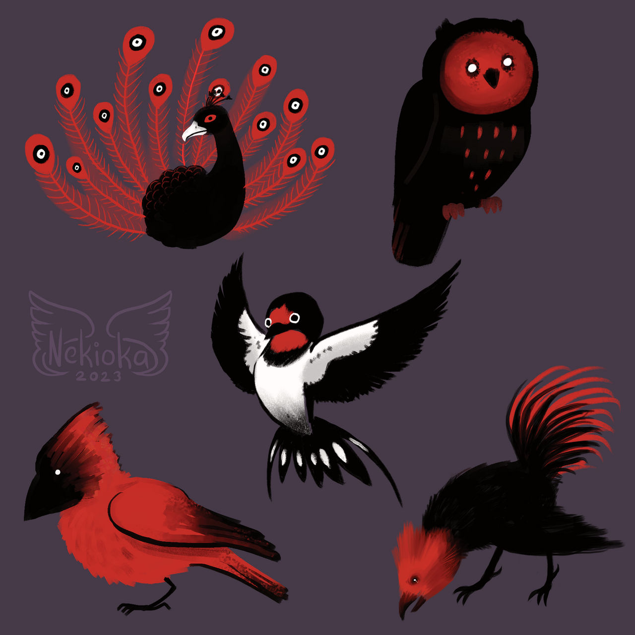 Bird Evolution Deviantart Birds by Nekioka on DeviantArt