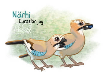 Brrrdcember - Eurasian jay