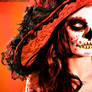 DOTD 1