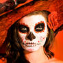 DOTD 5