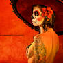 DOTD 9