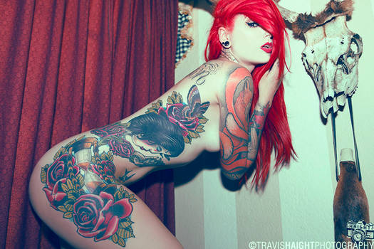 Cervena Fox 3