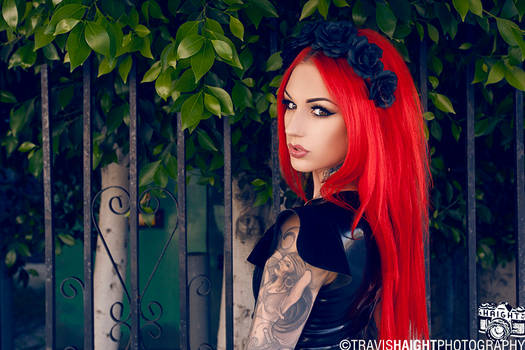 Cervena Fox 5