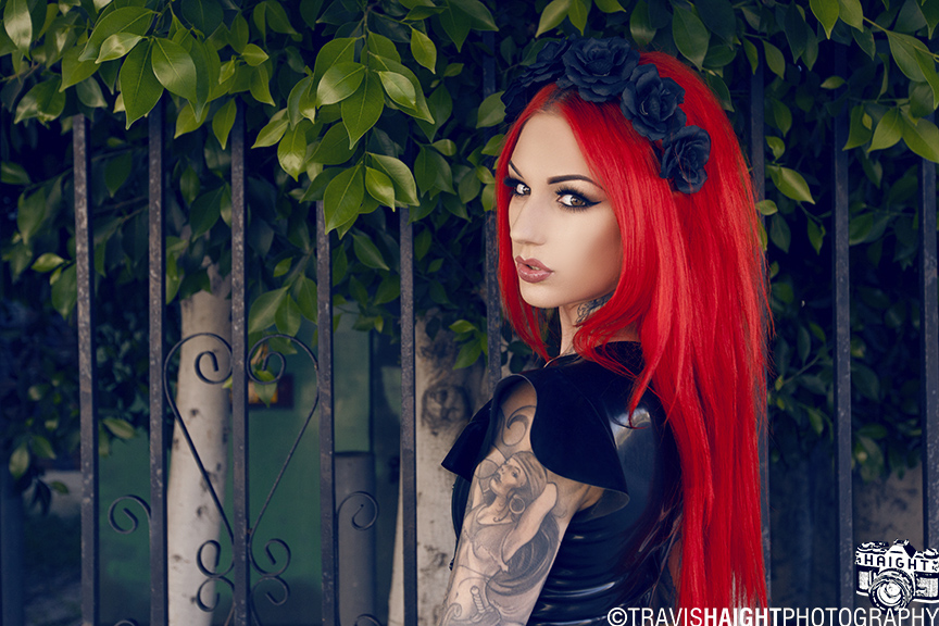 Cervena Fox 5