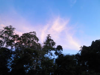 Sunset in Borneo