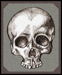 Sep 2022 - Skull1.2