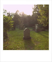 Polaroid Cemetery