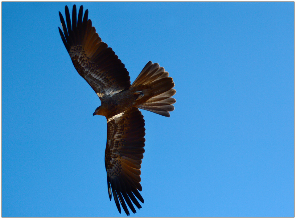 Wheeling overhead 1