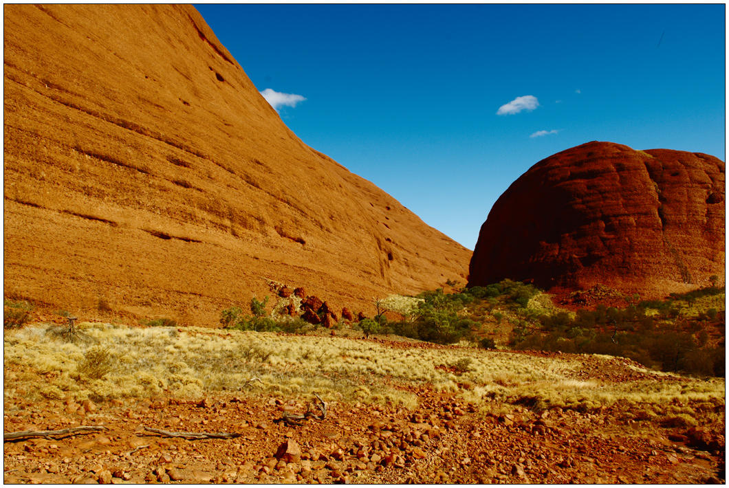 Colour contrasts at Kata Tjuta