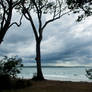 Noosa - before the storm