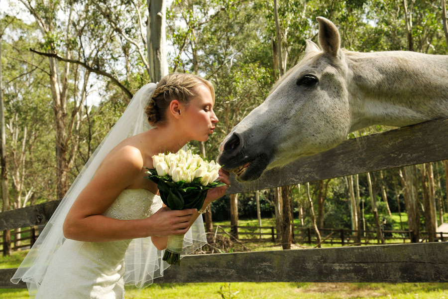 The bride goes to Boston