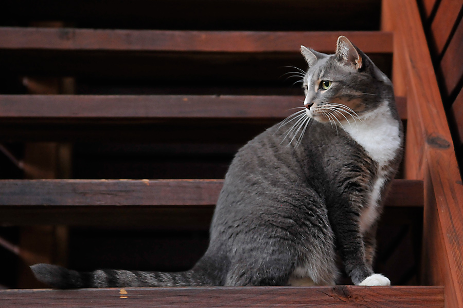 Tasha on steps 1