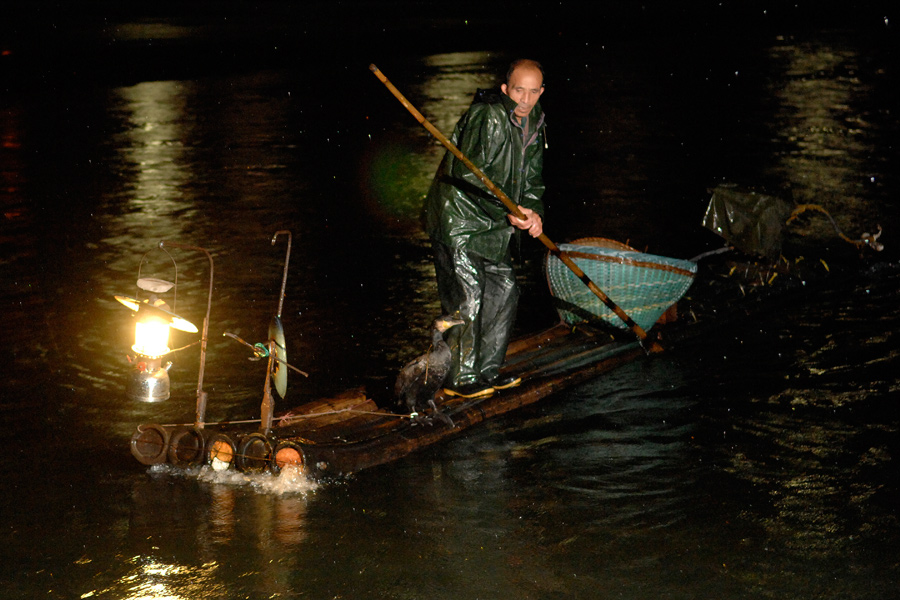 Cormorant fishing on the Li