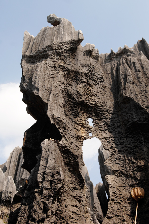 Stone Forest - 2