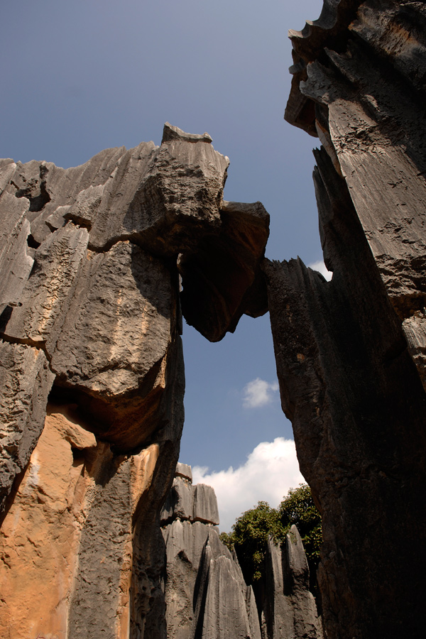 Stone Forest - 3