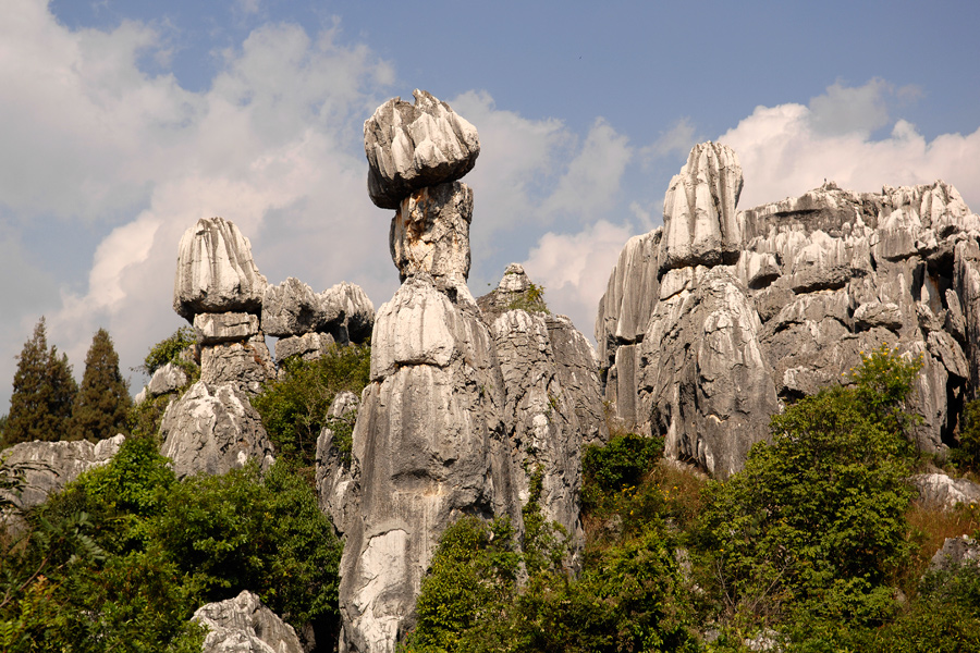 Stone Forest - 3