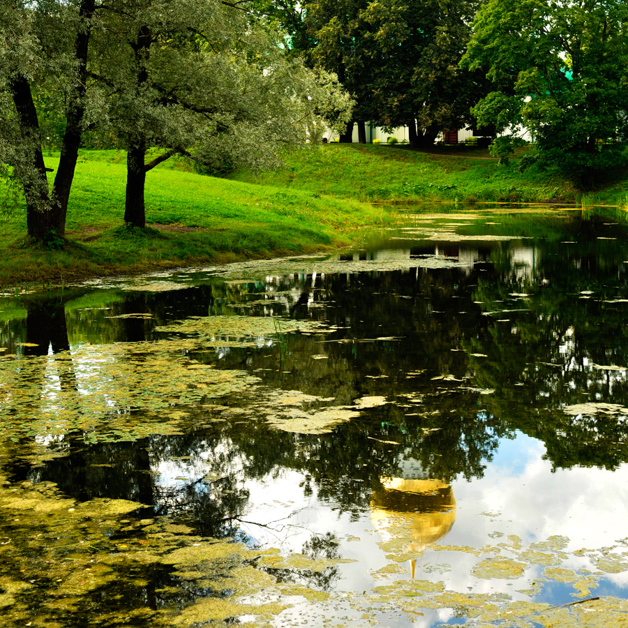 Green and gold in Tsarskoe Selo