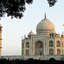 Taj Mahal through trees 1