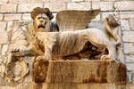 Venetian lion - Hvar Town by wildplaces