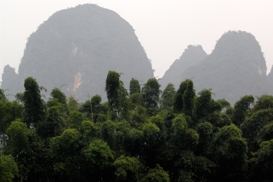 Bamboo and Karst mountains - Guilin