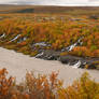 Hraunfossar 2 - Iceland