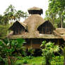 Dining out in the Amazon