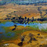 Flying over the Okavango 6
