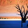 Mist in Dead Vlei 3 - Namibia