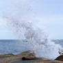 Bicheno blowhole 1 - Tasmania