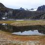 Tundra colours 2 - Svalbard