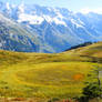 Hanging swamp near Murren - Switzerland