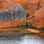 Bay of Fires 1 - Tasmania