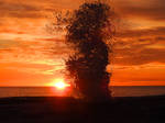 Blowhole sunrise 1 - Bicheno - Tasmania by wildplaces