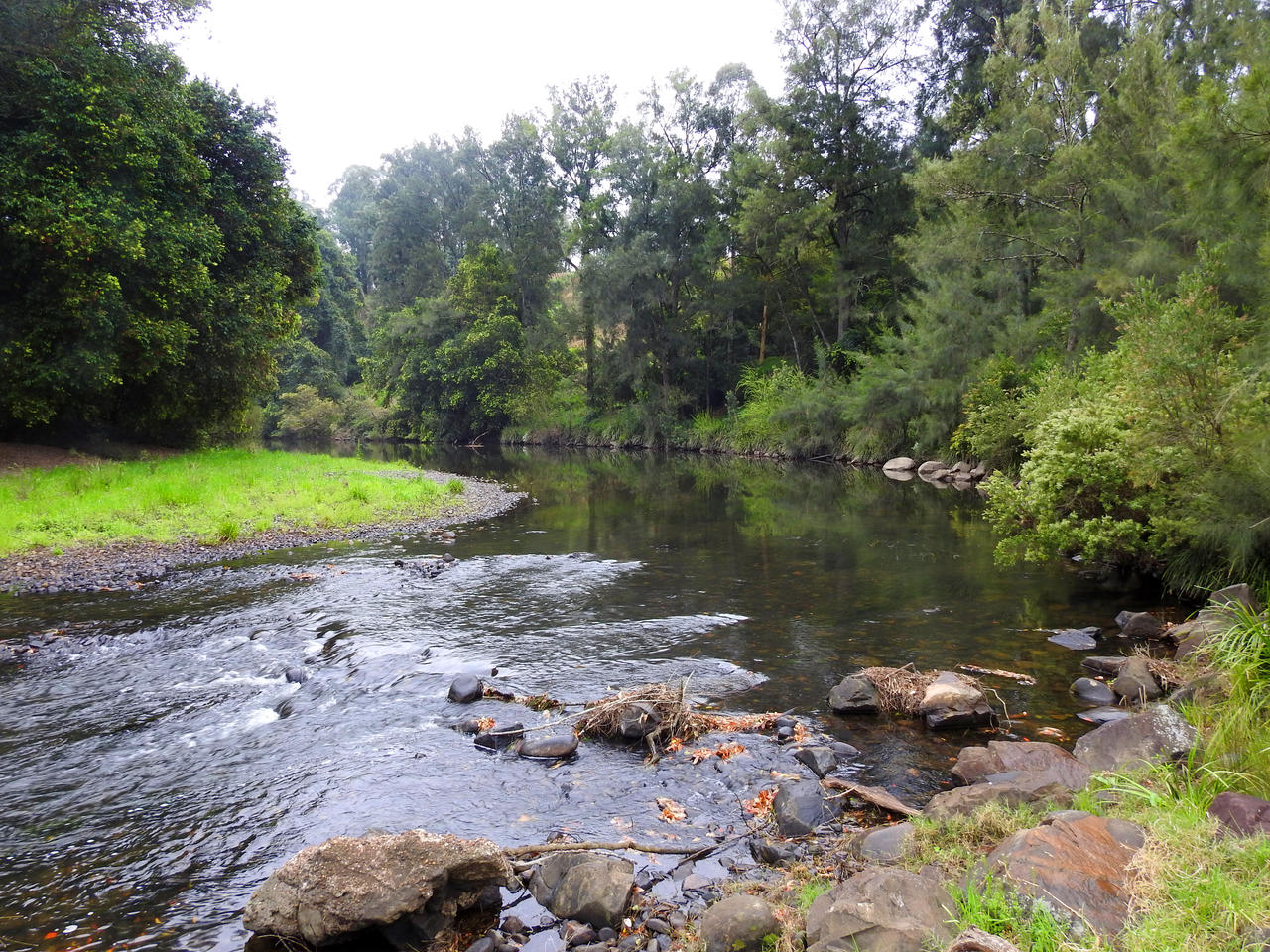 Williams River 1 Dungog, NSW by wildplaces on DeviantArt