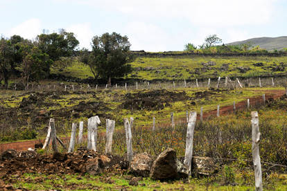 Easter Island revisited - dirt roads and fences