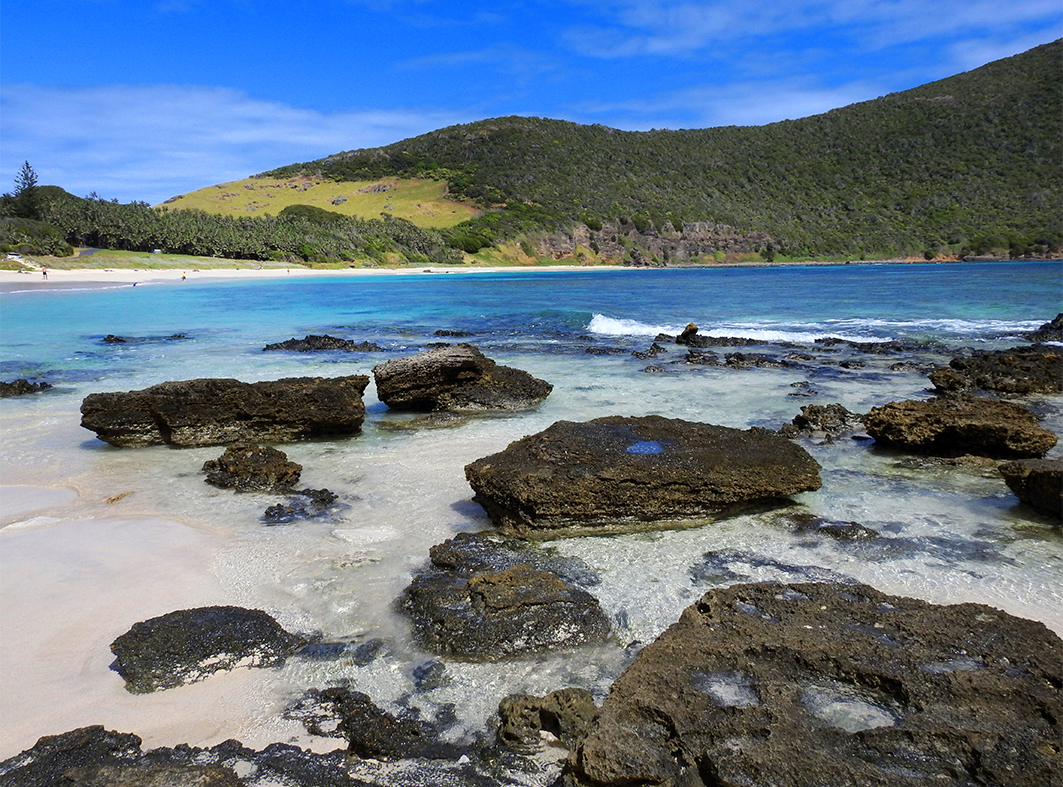 Lord Howe Island - Ned's Beach 4