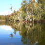 Bulbararing lagoon - kayak view 1