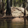 Brush turkey nest - Cochrone lagoon