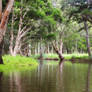 Bulbararing Creek narrows