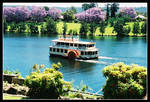 Nepean Belle by wildplaces