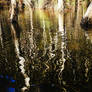 Cochrone lagoon reflections 9