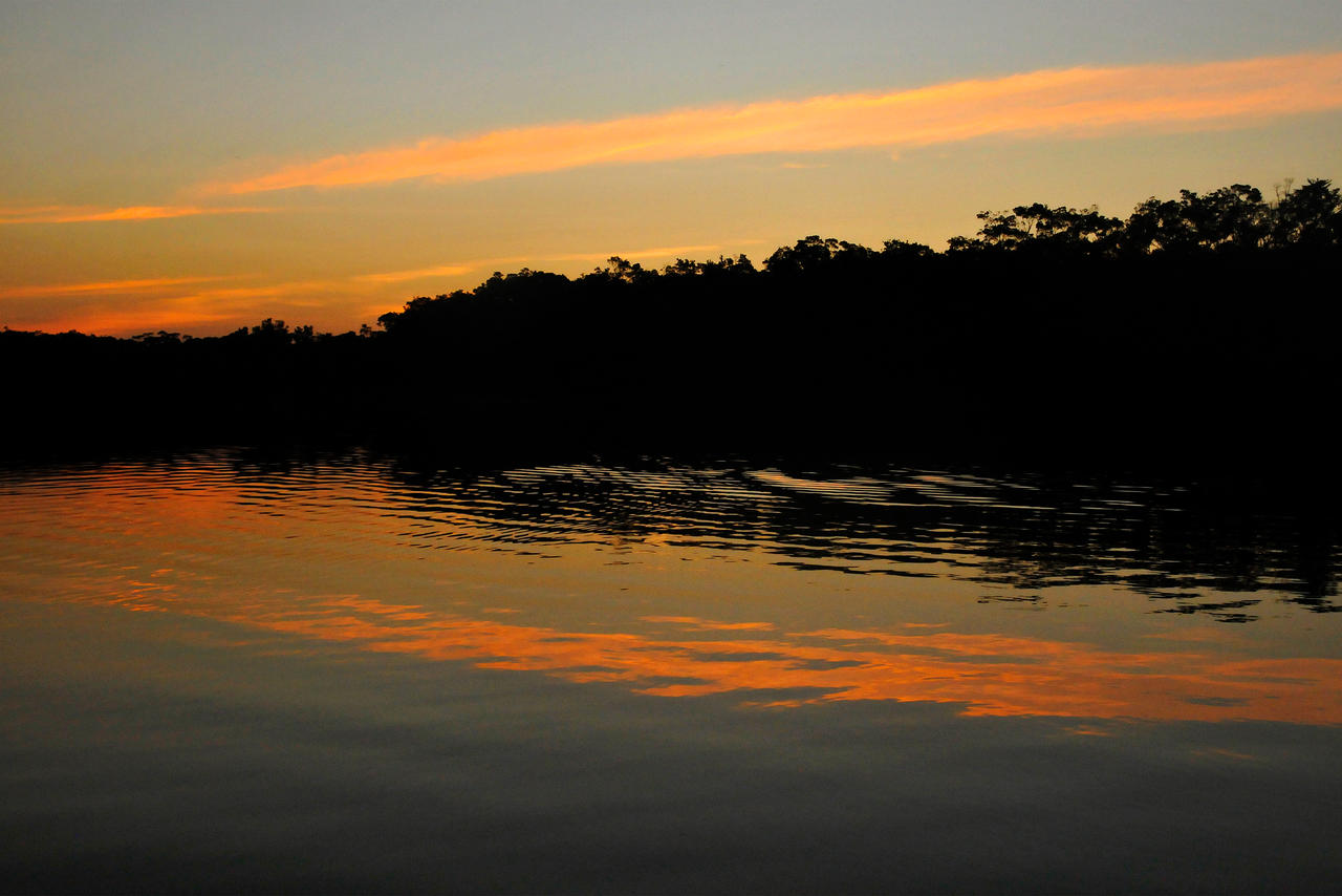 Ecuador revisited - Amazon sunset by wildplaces on DeviantArt