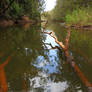 Kayaking Cochrone Creek 1 - 2023