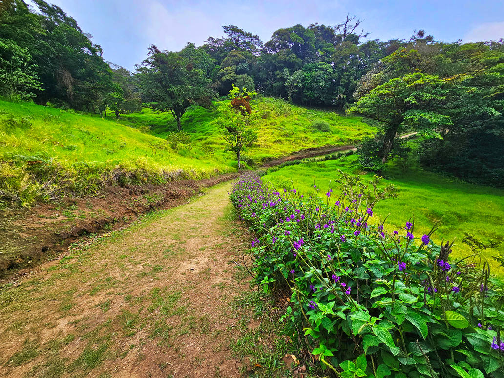 Winding Road 1 Curi Cancha Costa Rica By Wildplaces On DeviantArt winding-road-1-curi-cancha-costa-rica-by-wildplaces-on-deviantart