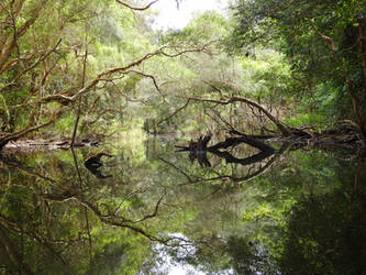 Kayaking Cochrone Creek 1 - 2023