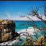 Limestone Coast 4