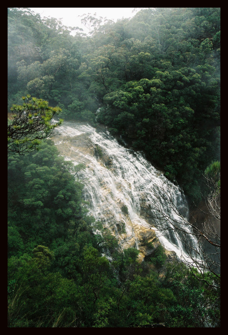 Mist over Wentworth Falls