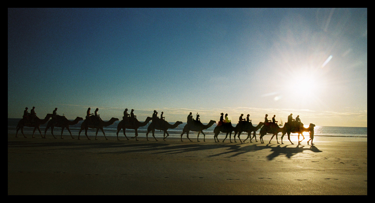 Camels on Cable Beach 6